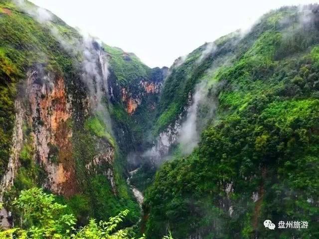 苏菲亚的休闲装