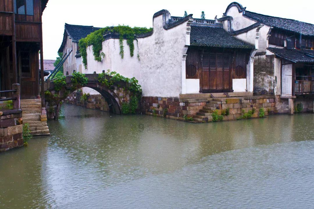 玩具熊五夜后宫4